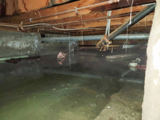 Best Water damage restoration near me  in Fayette, OH