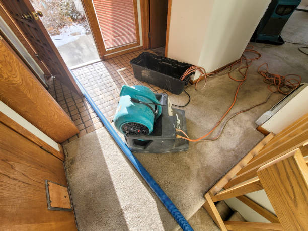 Best Local water damage restoration  in Fayette, OH
