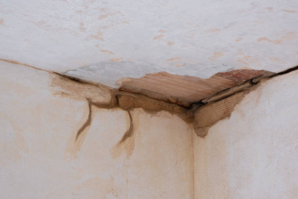 Carpet water damage restoration in Fayette, OH