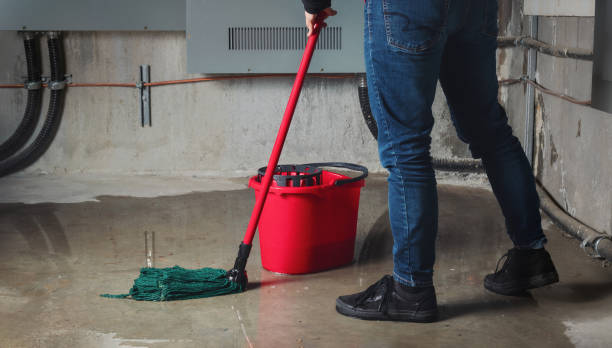  Fayette, OH Water damage restoration Pros