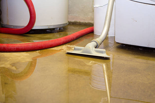 Best Residential water damage restoration  in Fayette, OH