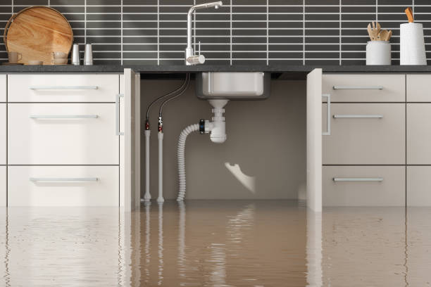Best Sewage cleanup and water damage restoration  in Fayette, OH