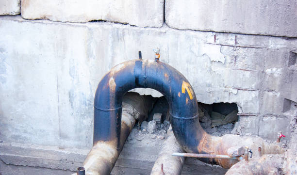 Best Flood damage cleanup  in Fayette, OH